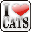 Icono de programa: I Love Cats Doo-Dad