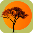 Kruger National Park FieldApp Lite icon