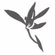 Icon of program: Blumind Portable