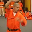 Icon of program: Learn Shaolin Kung Fu