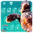 Icon of program: Turtle Blue Sea Keyboard …