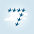 Icono de programa: 7Geese OKRs