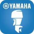 YDIS Smart icon