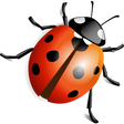 Icono de programa: SSuite NetVine LAN Suite