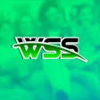 Icon of program: wss infor
