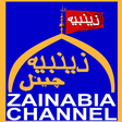 Icon of program: Zainabia Channel
