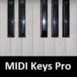 Icon of program: MIDI Keyboard Pro for Win…