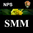 Icon of program: SMM WildFlowers (Early Ac…