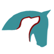 Icono de programa: PhotonicHealth Horse Acup…