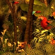 Icon of program: Rain Forest Adventure