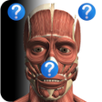 Icon of program: Anatomy Quiz Lite