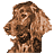 Icon of program: Atrise Everyfind Lite