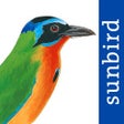 Icon of program: All Birds Trinidad and To…