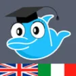 Icon of program: Learn Italian Vocabulary:…