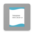 Icono de programa: Visual Basic 6.0