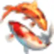 Icon of program: Koi Fish 3D Screensaver
