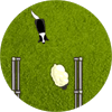 Icono de programa: Sheepdog's Day