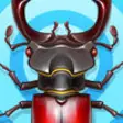 Icon of program: Bugs - Bugs Collector
