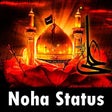 Icon of program: Noha Status