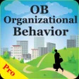Icon of program: MBA Organizational Behavi…