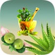 Icon of program: Natural Ayurvedic Healer …