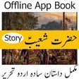 Icon of program: Hazrat Shoaib E.S