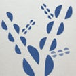 Reflect Daily icon