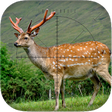 Icon of program: Deer Sniper: Hunting Game