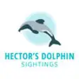 Icon of program: Hector's Dolphin Sighting…