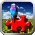 Icon of program: Flickr Photo Viewer And P…