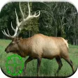 Icon of program: Elk Hunting Calls