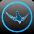 Icon of program: Swift Explorer