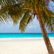 Icon of program: Beach Wallpaper