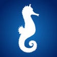 Icon of program: Retro - Forth Programming…