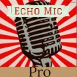 Icon of program: Echo Microphone Pro Live …