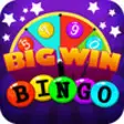Icon of program: Bingo Big Win
