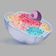 Icon of program: The Cell Story