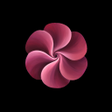 Icono de programa: Modio: AI Powered Photosh…