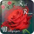 Icon of program: Rose wallpapers hd - Beau…
