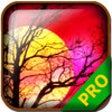 Icon of program: PRO - Rivals of Aether Ga…