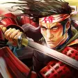 Icon of program: Samurai 2: Vengeance