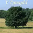 Icon of program: Y Tywydd - Welsh Language…