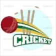 Icon of program: Simple Cricket Game for W…