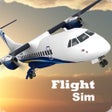Icon of program: Flight Sim 3D