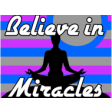 Icon of program: Believe in Miracles : Hap…