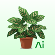 Icono de programa: Verda: Plant Identify  Cu…