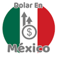 Icon of program: Dollar Price in Mxico