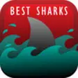 Icon of program: The Best Sharks