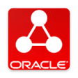Icon of program: Oracle Primavera Projects