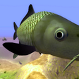 Icono de programa: Carp Ranch - Fishing Adve…